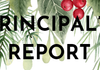 Principal's Report Banner Photo