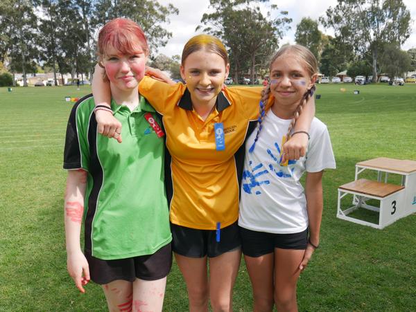 Merit Certificates Banner Photo