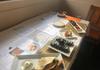 Food Technology Banner Photo