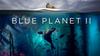 YEAR 9 BLUE PLANET  Banner Photo