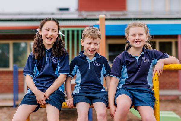 What's Happening In Primary Banner Photo