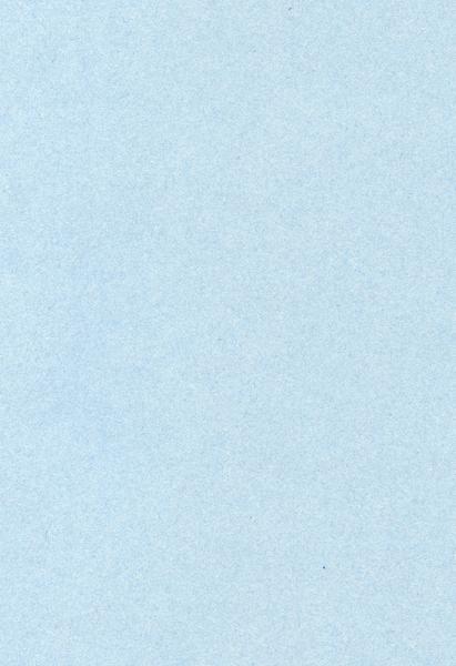 Koalas Banner Photo