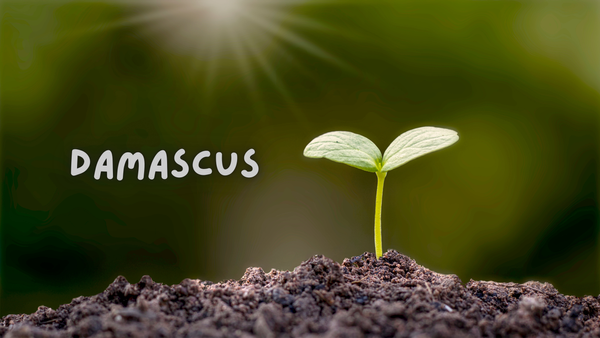 Year Two  Spotlight on Learning Banner Photo