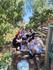 Junior School News Banner Photo