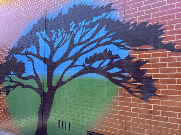 Level 4 Banner Photo