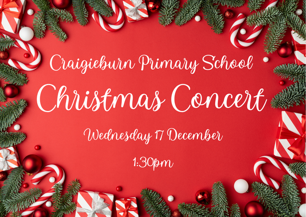 Christmas Concert Banner Photo