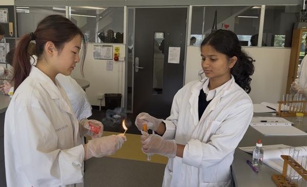 Careers Corner Banner Photo