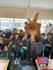 Term 3 Learning Summary Banner Photo