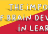 The Importance of Brain Development in Learning Banner Photo