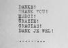 Thank you! Banner Photo