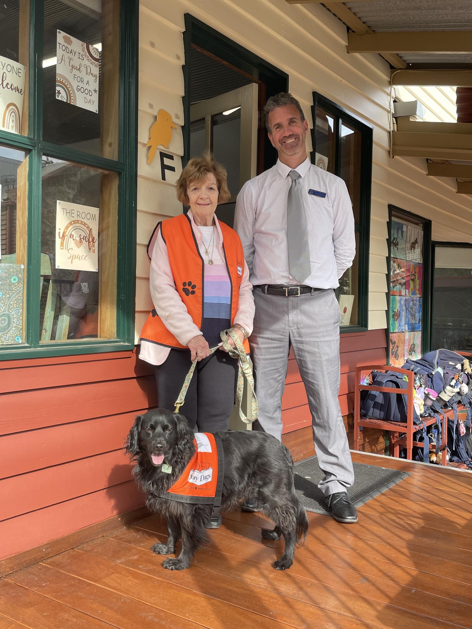 Story Dogs Banner Photo