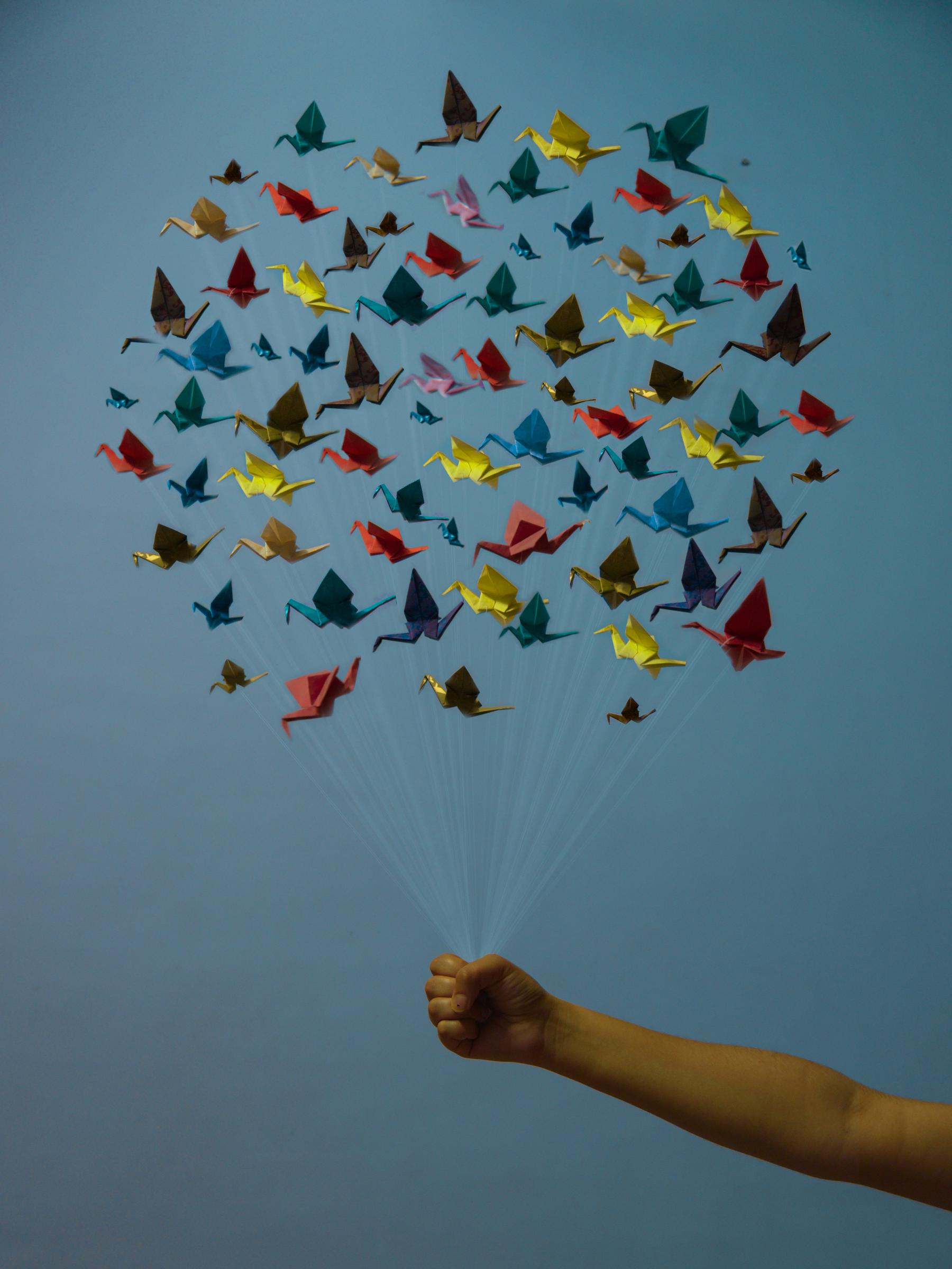 Year 6 News Banner Photo