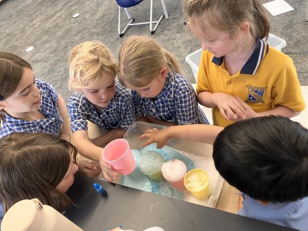 MACSEYE Banner Photo