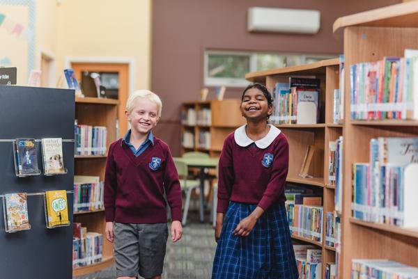 Library Banner Photo