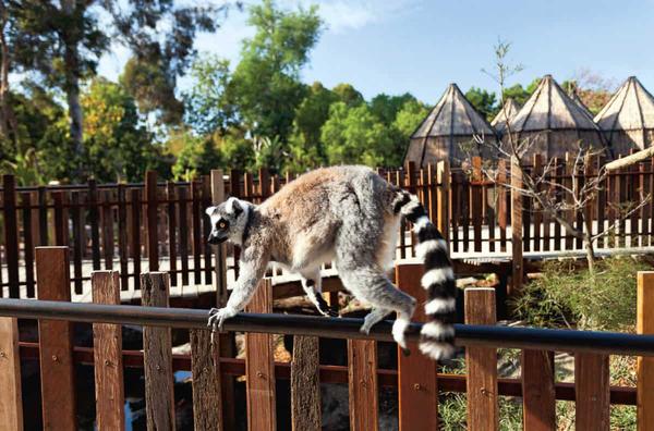 SCIENCE Banner Photo