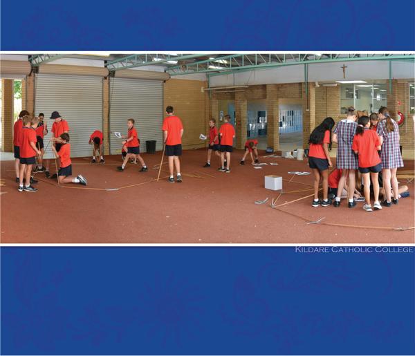 Stem in Action. Banner Photo