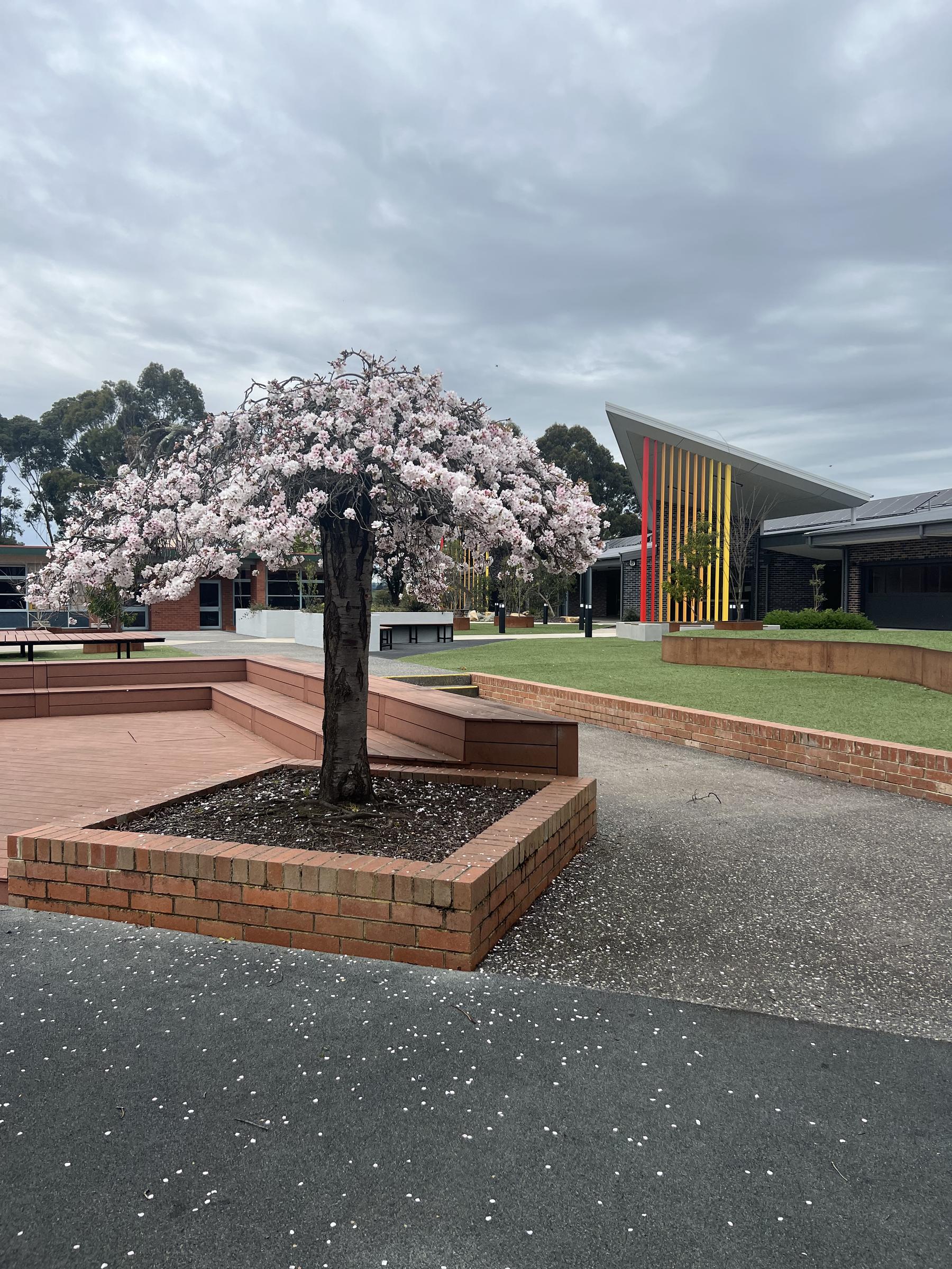 Mary MacKillop Newsletter Issue 18 mary-mackillop-newsletter-issue-18