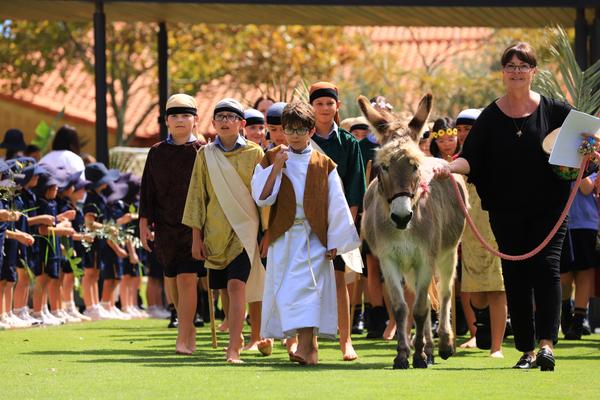 Around The Primary Banner Photo