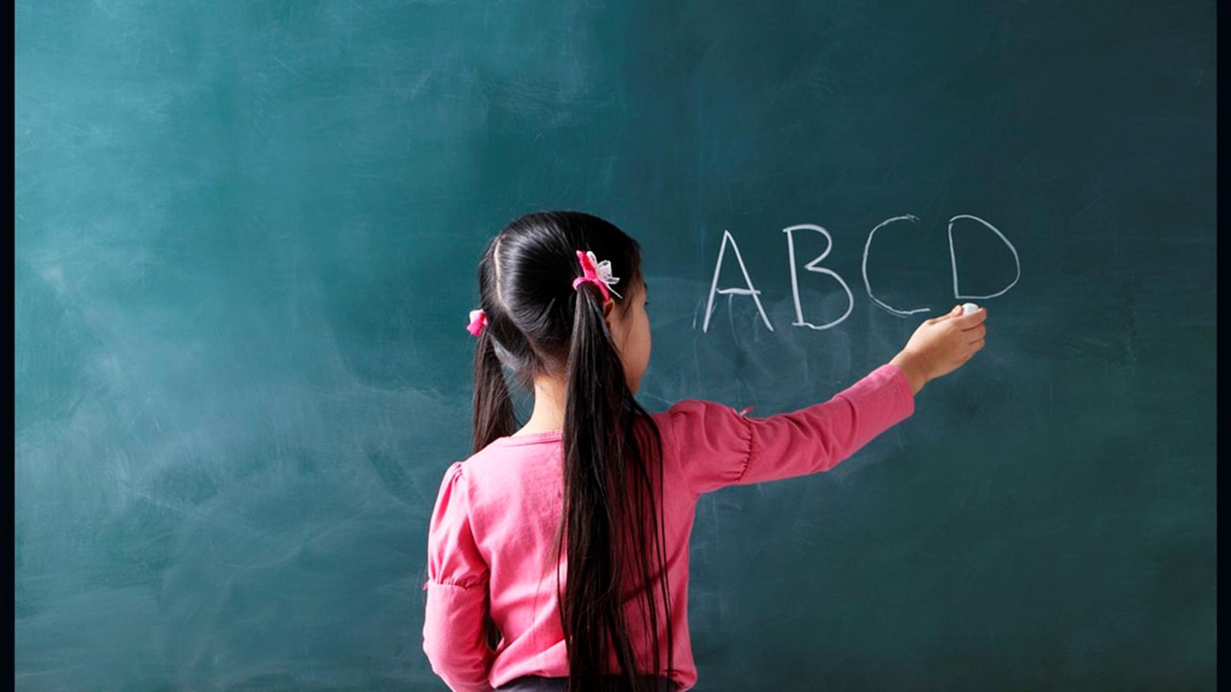 Term 1, 2025 Curriculum News - Year1 Banner Photo