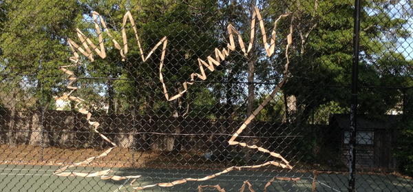 Year 12 Update Banner Photo