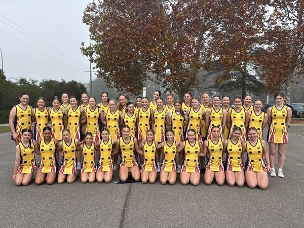 🏐 Girls Netball Banner Photo