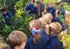 Food Tech and Kitchen Garden Banner Photo