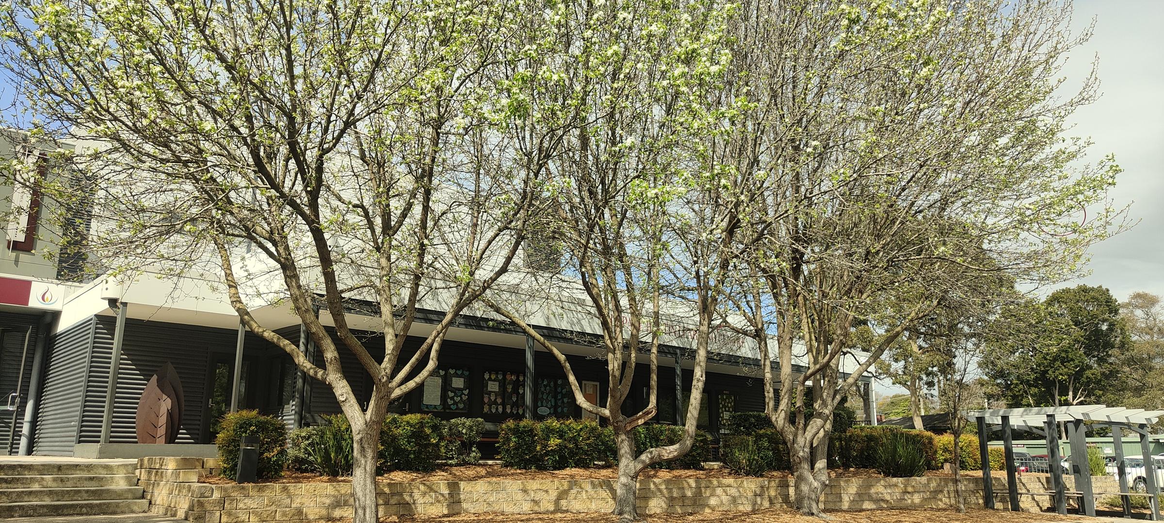 Acting Deputy Principal's Message Banner Photo