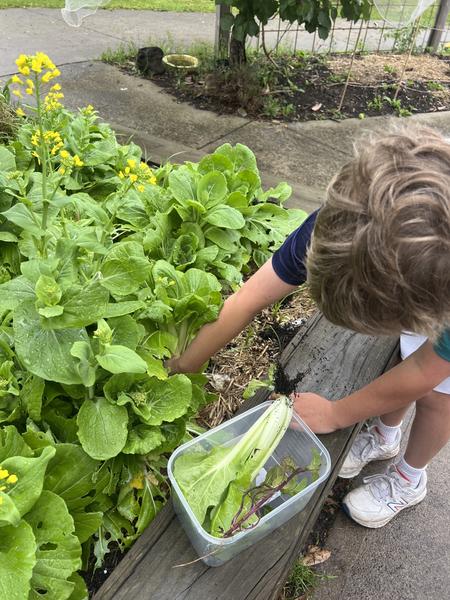 Sustainability Banner Photo