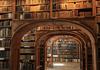 Library Banner Photo