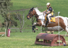 Getting Geared Up to Attend State Horse Trials at Colac Pony Club! Banner Photo