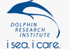 Dolphin Research Institute Banner Photo