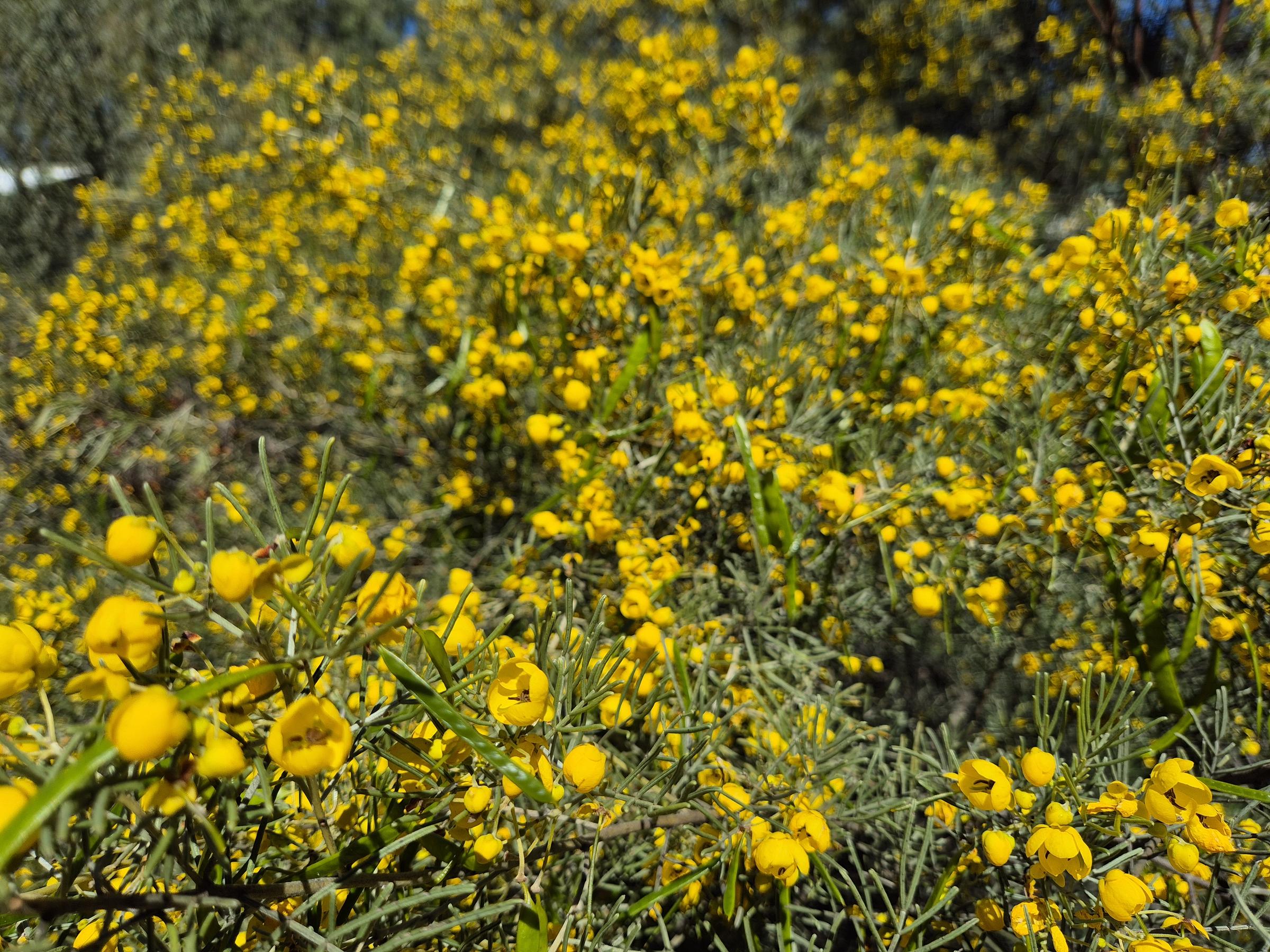 Cassia 1 & 2 News Banner Photo