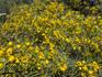 Cassia 1 & 2 News Banner Photo