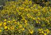 Cassia 1 & 2 News Banner Photo