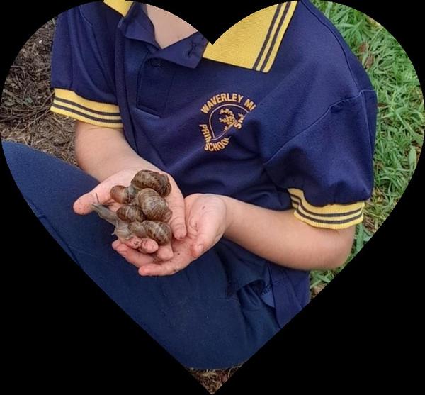 Specialist Subjects  Banner Photo