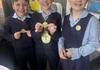 Principal's News Banner Photo