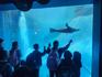 F-2 Melbourne Zoo Excursion Banner Photo