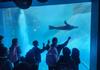 F-2 Melbourne Zoo Excursion Banner Photo