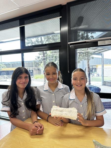 Year 7 2026 Banner Photo