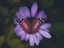 RETREAT FOR YOUNG WOMEN Banner Photo