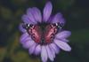 RETREAT FOR YOUNG WOMEN Banner Photo