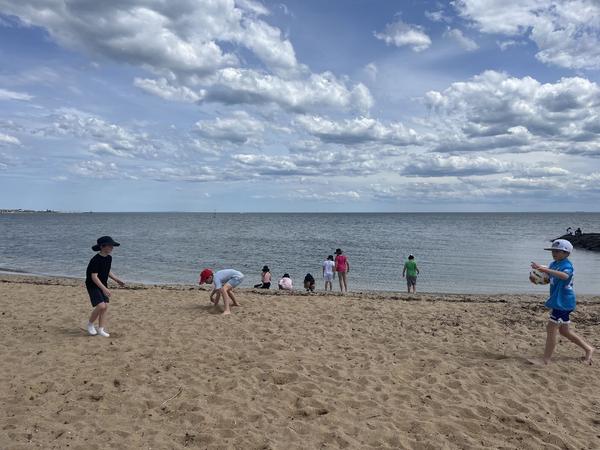 Year 3 News Banner Photo