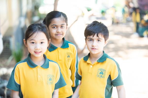 P & C News  Banner Photo