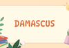 Spotlight on Learning Banner Photo
