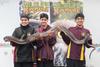 Y9: Snake Safety Incursion Banner Photo