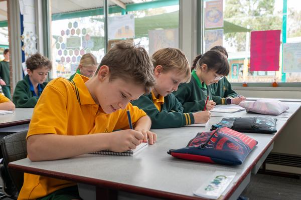 School Attendance Banner Photo