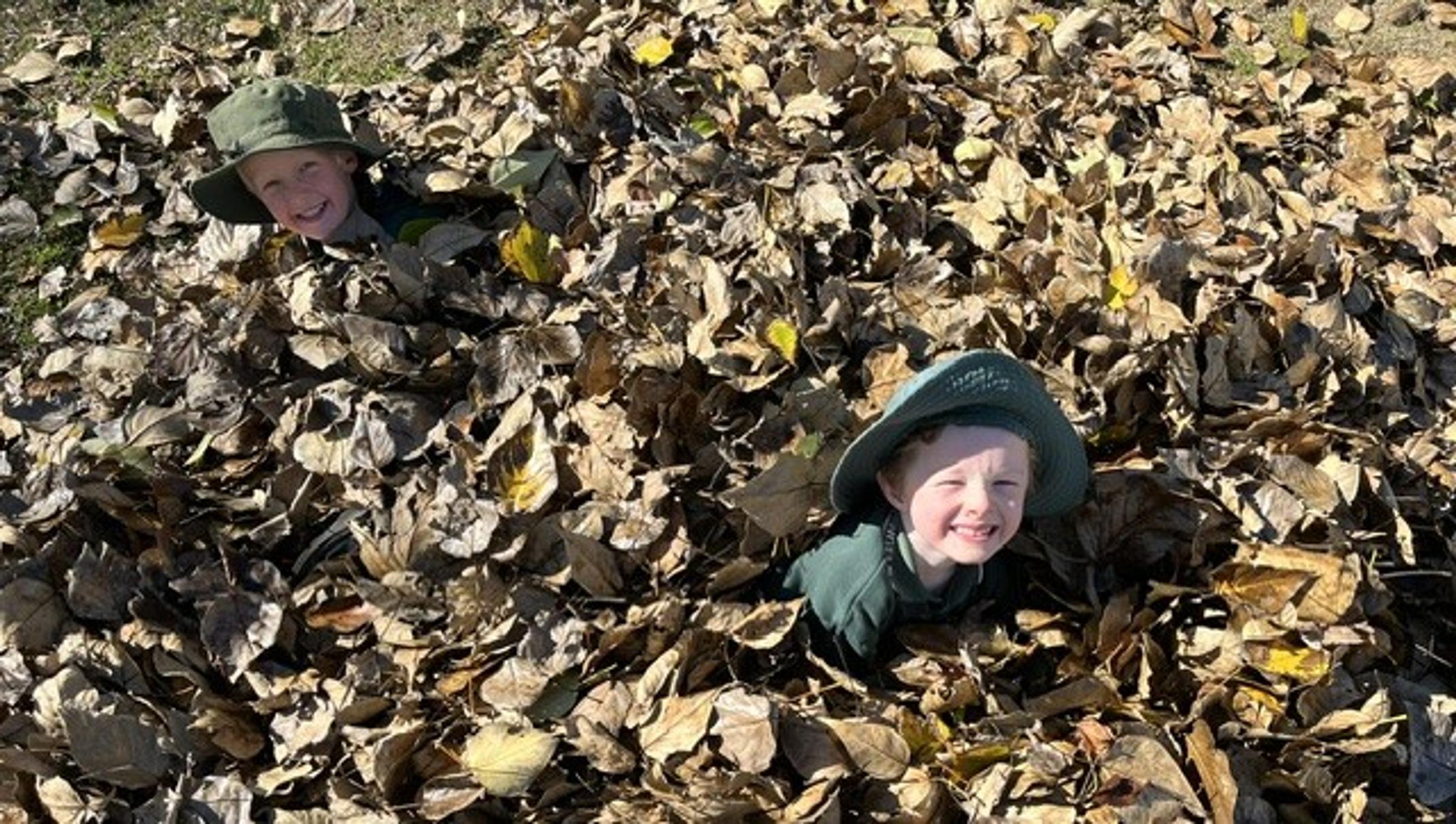 Banner Photo