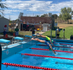 Swimming Carnival Banner Photo