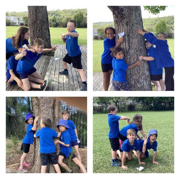 Learning for Term 4 Banner Photo