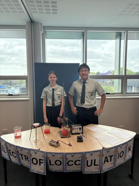 Week 4 Photo Gallery Banner Photo